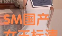 国产女王 在线播放,在线热播，魅力四溢的国产剧佳作