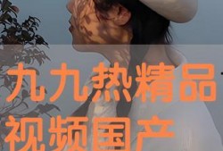 国产精品系列视频,匠心独运，光影交织的艺术之旅