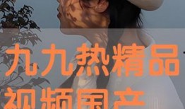 国产精品系列视频,匠心独运，光影交织的艺术之旅