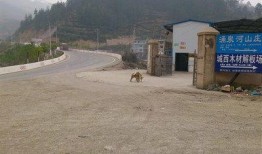 3p国产,多元文化交融的奇迹之地