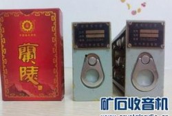 国产精品入,匠心独运，引领时代潮流的青春成长记