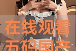 国产码在线,创新驱动下的产业变革