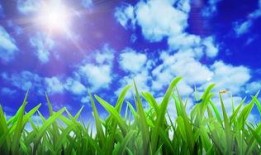 青草国产视频,探寻自然之美与生态和谐