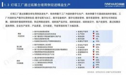 国产51页,揭秘中国科技发展的新篇章